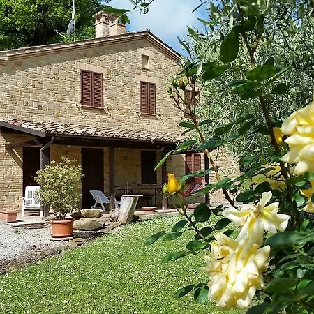 Pascucci * Tolentino