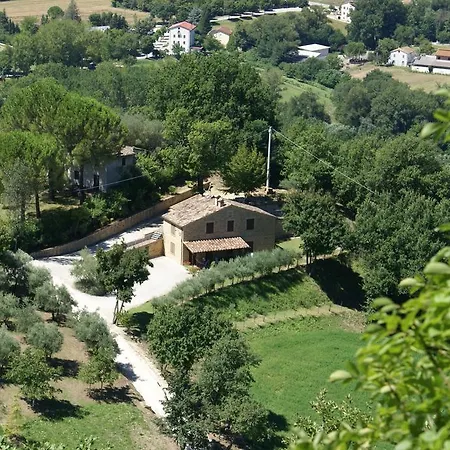 Pascucci * Tolentino