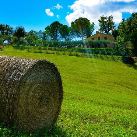 Vakantieboerderij Pascucci Tolentino