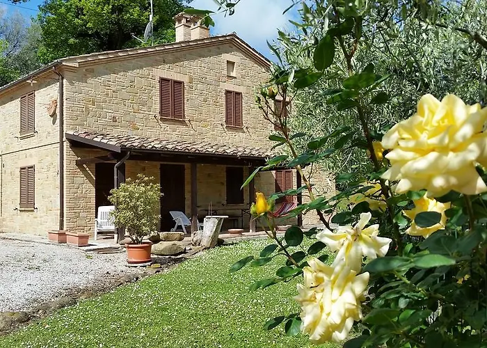 Pascucci * Tolentino