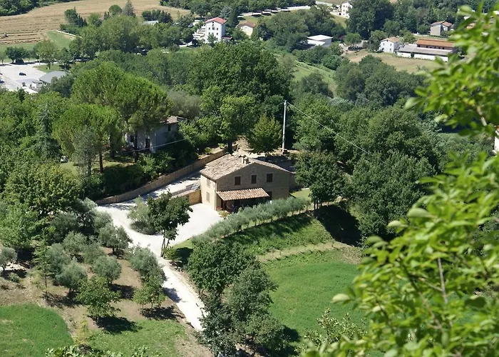 Pascucci * Tolentino